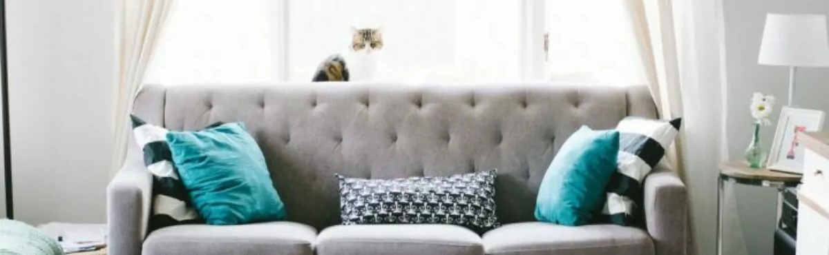 Moderniser son salon : suivez nos conseils et trouvez des idées